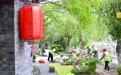 江苏如皋：以花为艺 匠造美景(5)