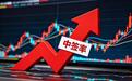 中签率暴涨！惠科股份打新收益有望超预期