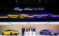 埃安再勇敢一次，All in最先进的技术，Ray 7成超级纯电标杆