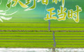 沃野春耕正当时(1)