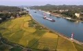 平陆运河秋景(2)