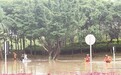 短时暴雨车辆被淹 父女车顶求救