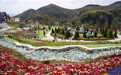 山东淄博：繁花绽放激活春日“赏花经济”(7)