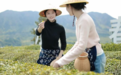 宣城旌德：空中茶园“两本账”，生态变现“绿”生金