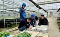 电力增容助春耕　守稳贵阳“菜篮子”