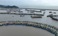 浙江启动海上防台风应急响应#