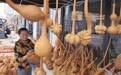 山东聊城堂邑镇：小葫芦大产业(4)