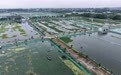 浙江湖州：太湖蟹迎来丰收季(1)