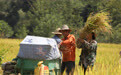 赓续长征精神 奋进复兴征程｜秦巴山下，有个“红军镇”(9)