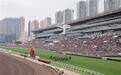 香港赛马会“马年赛马日”游客人数创新高 马年赛马共庆新春