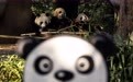 走进中国大熊猫保护研究中心雅安基地(1)