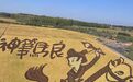 单日超8000人次！闫家岗万亩稻田画成中秋近郊游热门打卡地