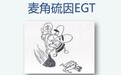 2026十款麦角硫因品牌推荐，麦角硫因哪个牌子好？长效抗氧细腻肤质