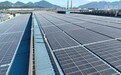福建福安：“一企一策”电力服务赋能产业绿色转型