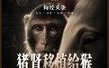 猪肾移植到猴身上，存活超620天刷新纪录，异种器官移植迎来“中国时刻”
