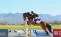 放“马”过来！马年谈马术赛事办赛要点