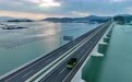 “海上粮仓”——福建霞浦迎来海带丰收季(5)