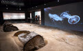 “湖北出土先秦车马兵器”展在武汉展出(2)