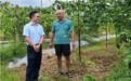 福建农信：走好新时代金融为民“长征”路