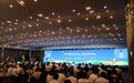 辣椒、茄子长出婀娜姿态  武汉种博会多样农产品受追捧