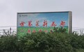 走访茉莉花都横州：大片花田浸泡在浑水中，如同一片水塘