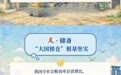 世界粮食日｜人均500公斤，中国粮的底气从哪来？