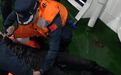 中国海警紧急救援越南籍遇险船舶