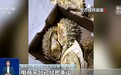 因为一个人，全县被电商平台拉黑！案件细节曝光