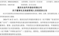 换届不足一月再调整，赵非任长安汽车董事长叶沛接任总裁