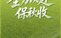 全力以赴保秋收(4)
