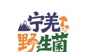 “宁强野生菌”区域公用品牌正式发布