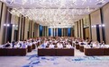 佩博克AI分子药房|从靶点通路解析千济方金边桑黄代谢调控科学机理