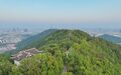 无锡一公园用墓碑铺路，当地回应