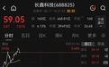 长鑫科技大涨7%，市值39493亿元