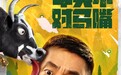 电影《牛头不对马嘴》定档6月17日，宋晓峰百万奇遇，潘阳爆笑拆招