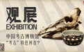 中国考古博物馆：“考古”特色何在？｜观展