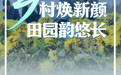 闪电海报丨民生保障多方发力，山东开启幸福+模式