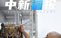 【图片故事】吉林长春：标本师用三十年“复活”生命 让自然之美永恒