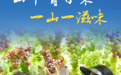 山中有百味，一山一滋味，枣庄山亭土特产“串起”共富梦