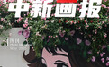 【中新画报】满满生命力！“花季少女”美到破次元