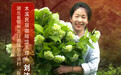 庭院经济 巾帼担当丨她把咖啡馆开进废弃矿井，一位“新村民”带富一村人