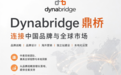 Dynabridge鼎桥：以品牌战略与全球化增长能力，助力中国企业迈向国际市场
