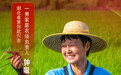 庭院经济 巾帼担当丨她为天鹅“留食”十年，换来万鸟翩跹！“天鹅妈妈”如何把家乡变成网红村
