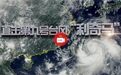 台风利奇马“肆虐”山东及浙江 多家A股公司回应