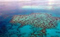 研究表明：珊瑚分裂繁殖能够提高大堡礁的复原力