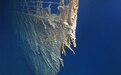最新画面！泰坦尼克号残骸腐蚀严重 2030年或完全消失
