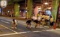 香港深水埗警署连续4晚遭包围，至少4人被拘捕