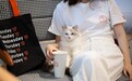 宠物家Pet’em完成近一亿元融资