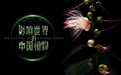 独家丨对话李成才：中国植物是如何影响世界的