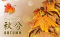 秋分|古人笔下20首最美秋日诗词 哪首最令你动容 